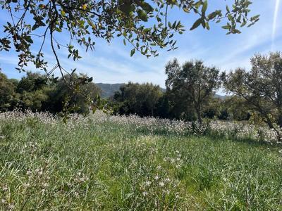 Terrain constructible - 12 588 m²