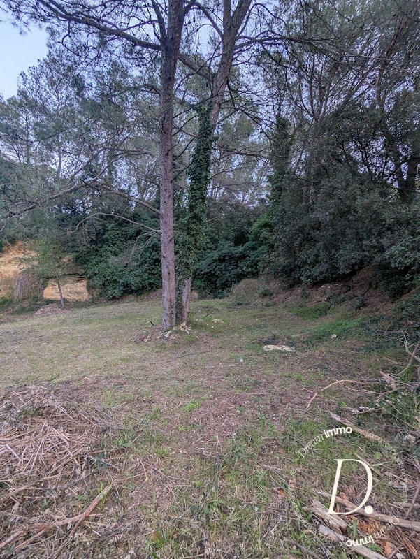 Terrain agricole - 2 000 m²