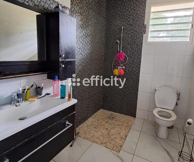 Maison - 170 m² - 5 pièces