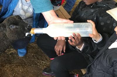 Sophro-duo à la Ferme avec les Sabots de Laine