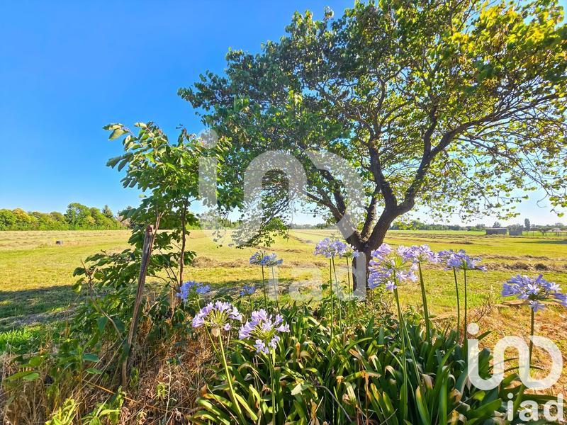 Maison - 252 m² - 10 pièces