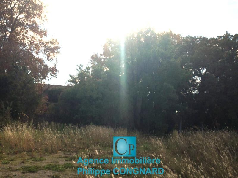 Immeuble - 5 500 m²