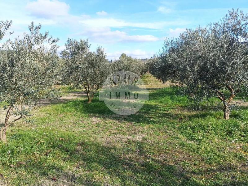 Maison - 115 m² - 4 pièces