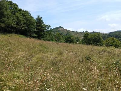 Terrain constructible - 2 295 m²