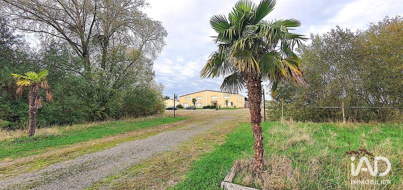 Local commercial - 610 m²