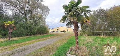 Local commercial - 610 m²