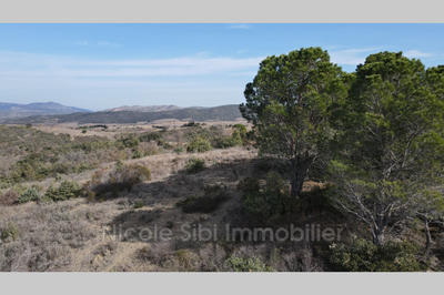 Terrain agricole - 1 730 m²