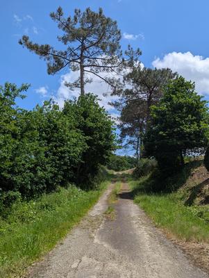 Villa - 150 m² - 5 pièces