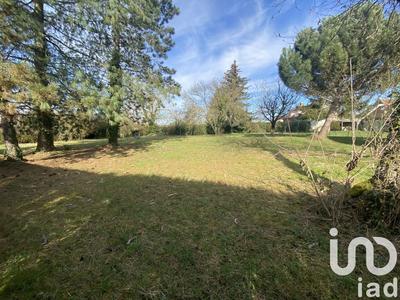 Terrain - 1 504 m²