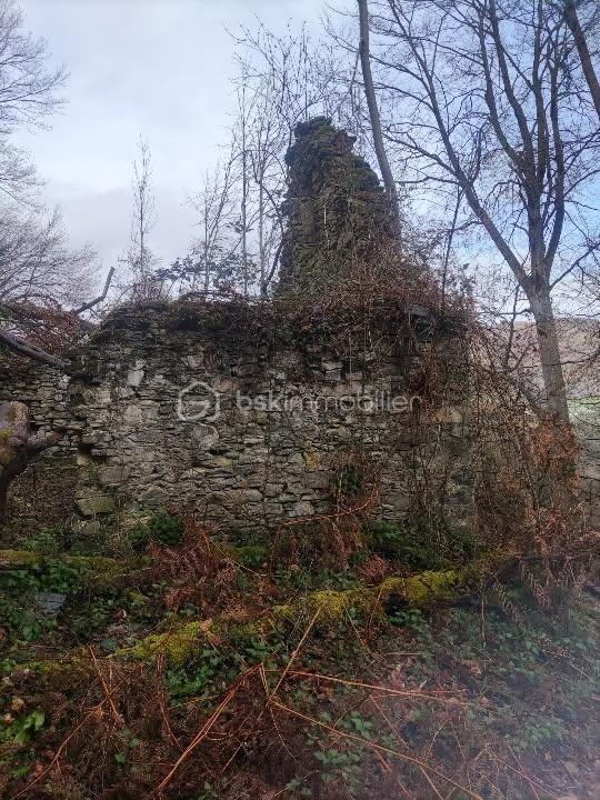 Maison - 60 m² - 1 pièce