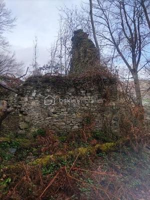 Maison - 60 m² - 1 pièce