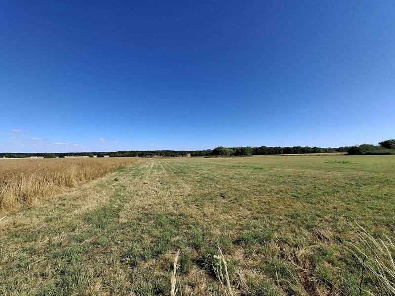 Maison - 137 m² - 9 pièces