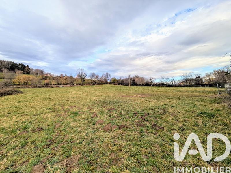 Terrain - 23 925 m²