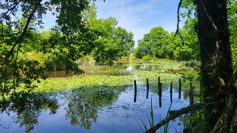 Maison - 348 m² - 8 pièces