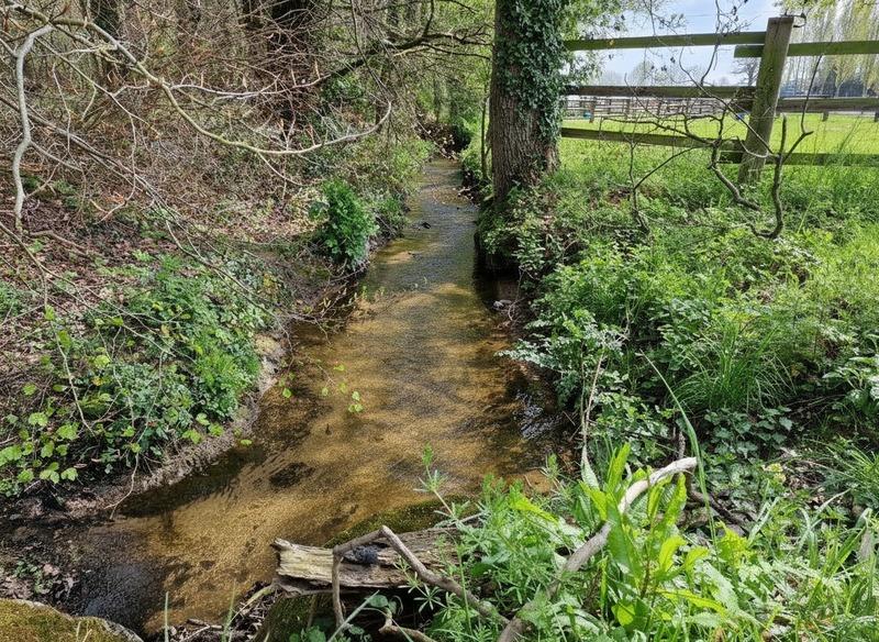 Manoir - 228 m² - 7 pièces