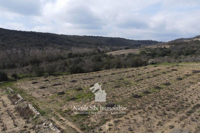 Terrain agricole - 4 160 m²