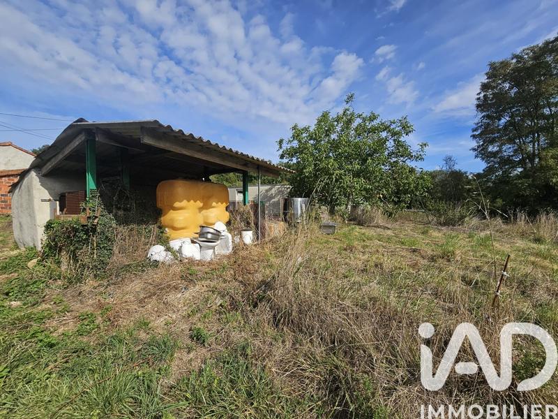 Maison - 37 m² - 2 pièces