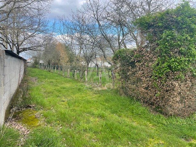 Terrain constructible - 1 134 m²