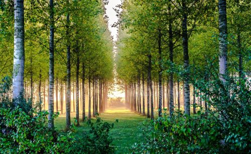 Gîtes de France Ardennes