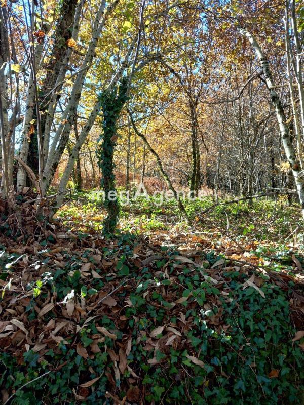 Terrain constructible - 3 064 m²
