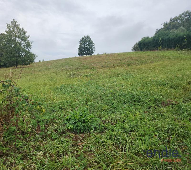 Terrain - 21 946 m²