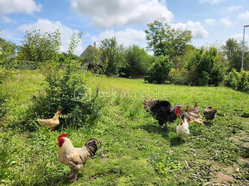 Terrain constructible - 1 026 m²