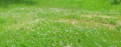 Terrain constructible - 320 m²