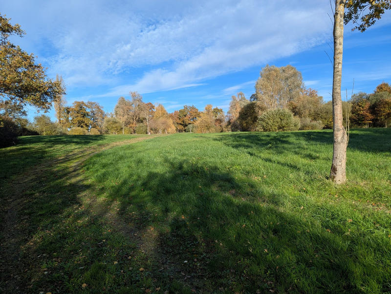 Terrain - 20 387 m²