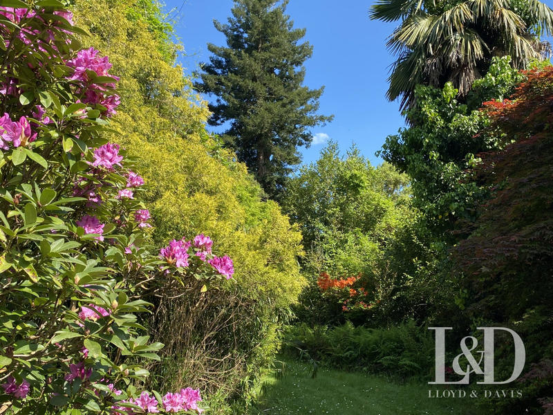 Maison ancienne - 500 m² - 21 pièces