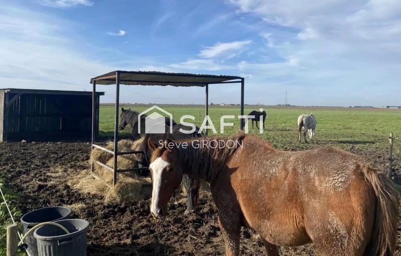 Maison - 148 m² - 8 pièces