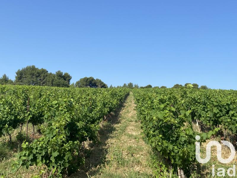 Terrain agricole - 216 211 m²