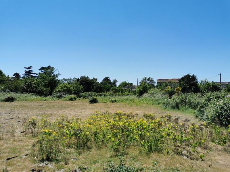 Terrain constructible - 350 m²