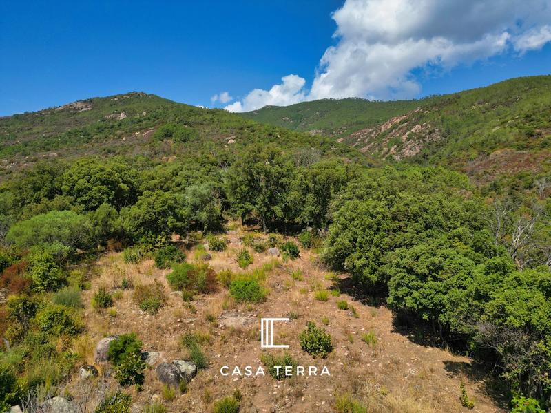 Terrain - 3 877 m²