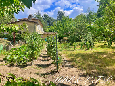 Maison bourgeoise - 356 m² - 10 pièces