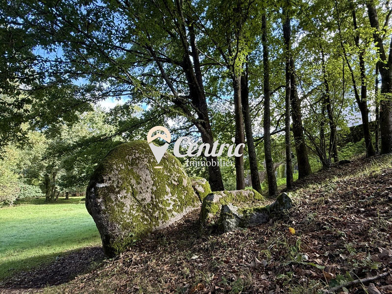 Maison - 275 m² - 13 pièces