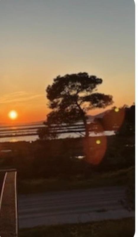 Appartement - 18 m² - 1 pièce