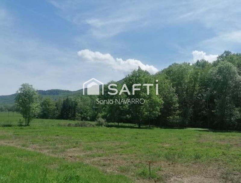 Terrain - 3 002 m²