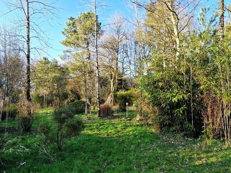 Maison de campagne - 61 m² - 4 pièces