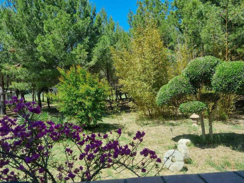 Propriété - 252 m² - 12 pièces