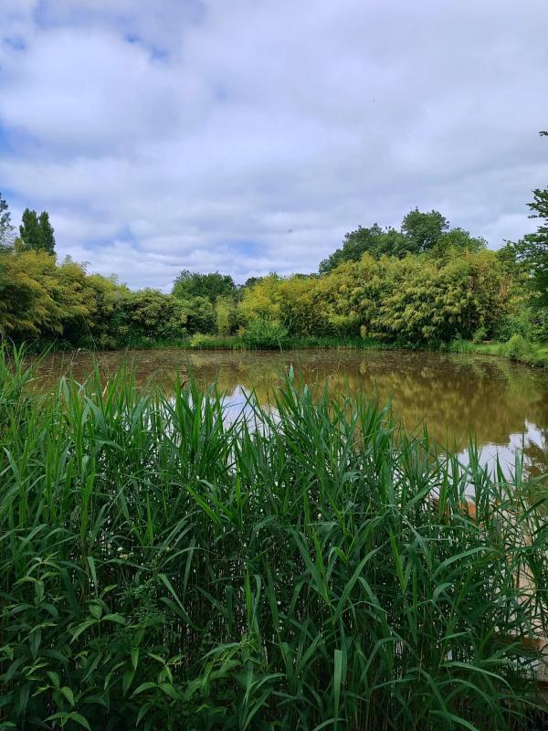 Maison de village - 92 m² - 4 pièces