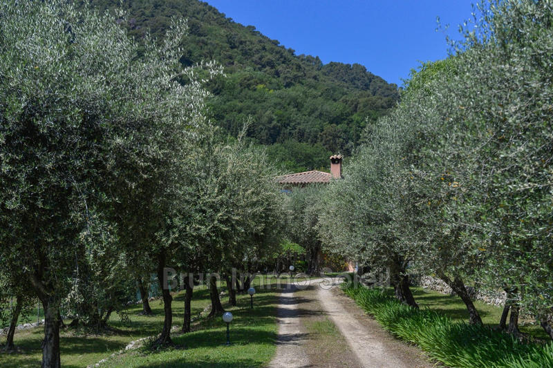 Maison - 305 m² - 7 pièces