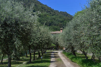 Maison - 305 m² - 7 pièces