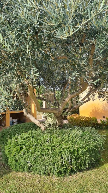 Villa - 154 m² - 4 pièces