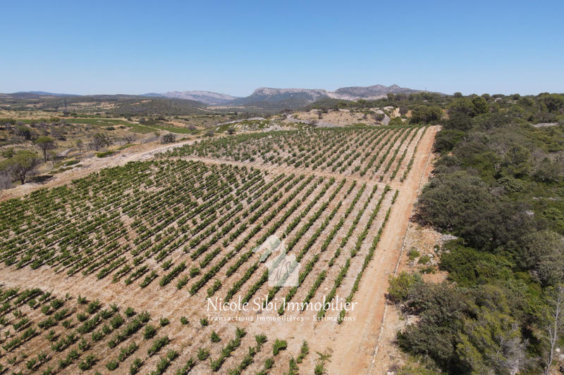 Terrain agricole - 30 000 m²