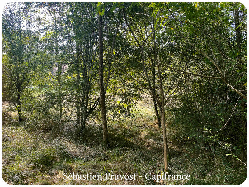 Terrain constructible - 1 700 m²