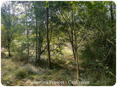 Terrain constructible - 1 700 m²