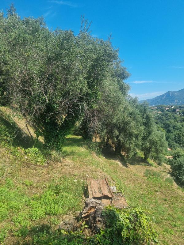 Terrain constructible - 1 011 m²