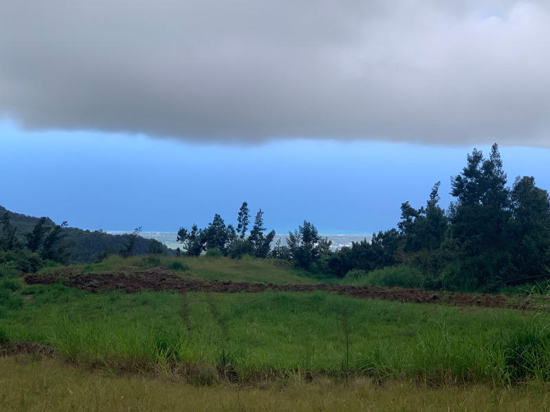 Propriété - 320 m² - 10 pièces