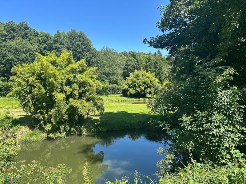 Maison - 371 m² - 7 pièces