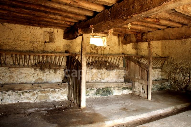 Propriété - 800 m² - 9 pièces